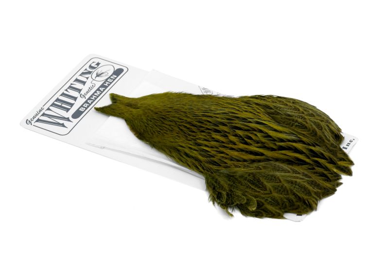 Whiting Brahma Hen Cape â€“ dealerweb-cms-b83f1543-6597-4210-afee-e67c58fbda70.JPG