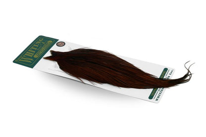 Whiting Hebert Rooster Cape – Bronze â€“ dealerweb-cms-b97b9ab3-9df5-46a3-a88f-9f83755d2ed8.jpg