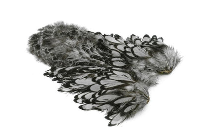 Whiting American Hen SH/C â€“ dealerweb-cms-bf206285-9df1-4c05-bcd0-a768de88816b.jpg