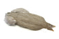 Whiting 4 B's Rooster Cape â€“ dealerweb-cms-c35dd14f-d20c-4936-9bc0-e723f62e18e7.jpg