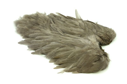 Whiting Rooster SH/C â€“ dealerweb-cms-cf546bba-30cd-42dd-9e2c-c446bae81234.jpg