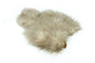 Whiting Spey SH/C â€“ dealerweb-cms-d57eb38e-97cd-49d9-b1a5-31647ceb5a13.jpg