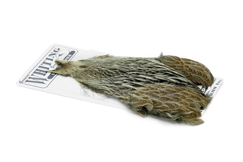 Whiting Brahma Hen Cape â€“ dealerweb-cms-d6b7206a-038c-42a9-905c-36ff696b597a.jpg