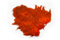 Whiting Rooster SH/C â€“ dealerweb-cms-eef50c21-a709-40f1-8363-fcd0b150a044.jpg