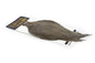 Whiting American Hen Cape â€“ dealerweb-cms-f0bb4031-b0db-4b8e-8b87-371322e1acc7.jpg