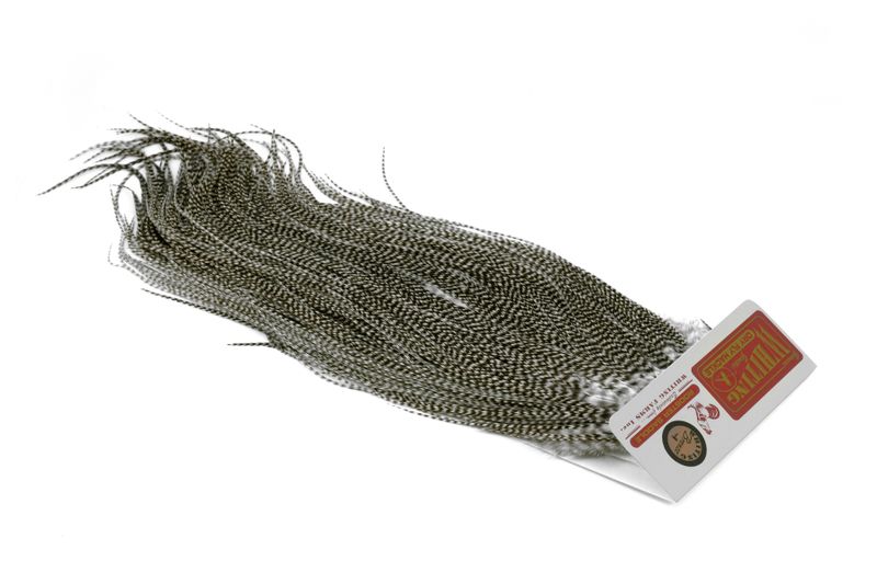 Whiting Rooster Saddle – Bronze â€“ dealerweb-cms-f530f3df-6133-49ed-ac17-096ba9fcdc06.jpg