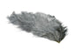 Whiting Mini Bird Fur â€“ dealerweb-cms-fc775b59-9879-49cc-9989-fee93c7f08dd.jpg