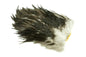 Whiting 4 B's Rooster Saddle â€“ dealerweb-cms-fcb5827b-fded-4f9f-a30d-1288f966af53.jpg
