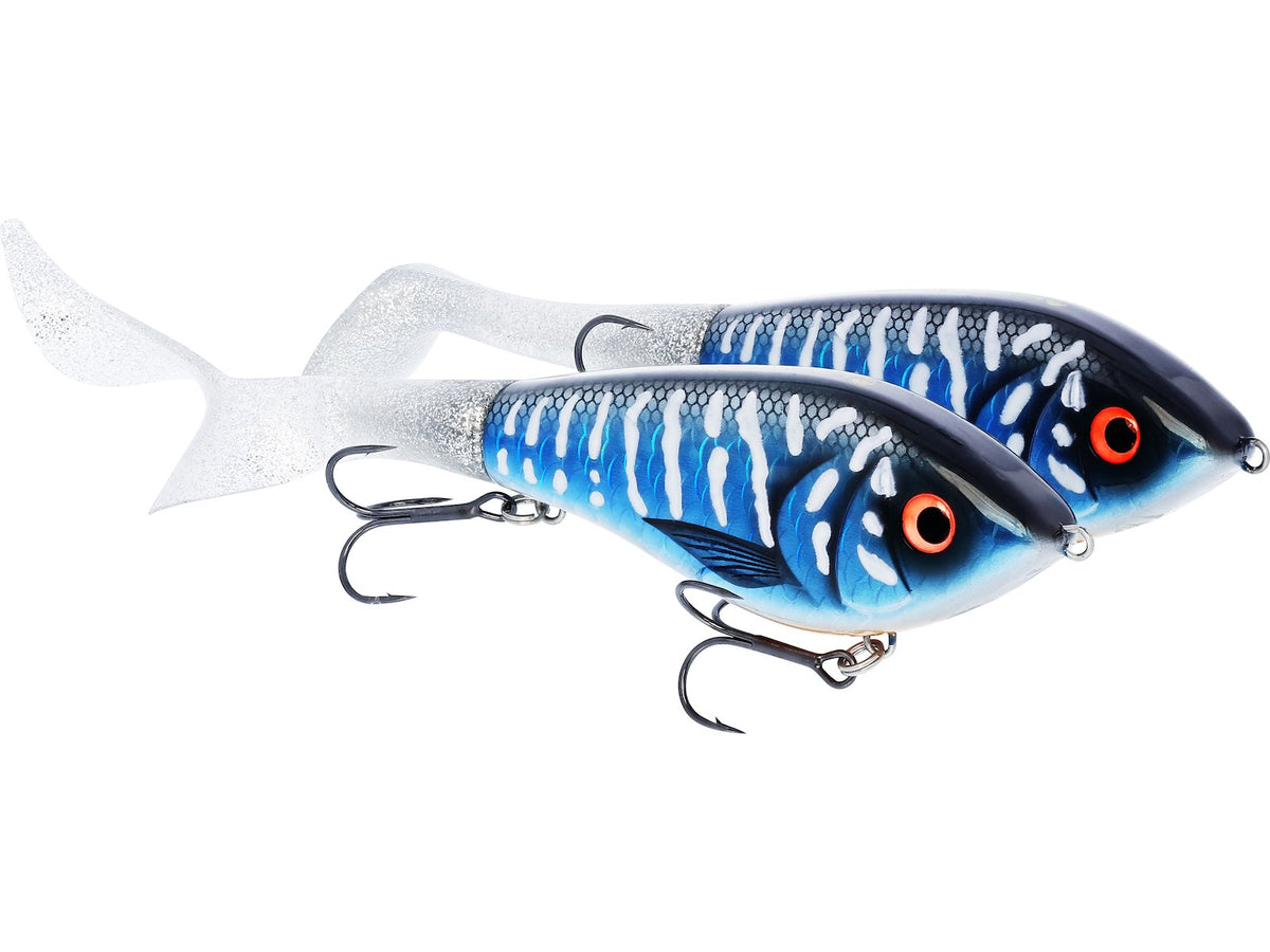 p230_swim-tail-hybrid_headline.jpg