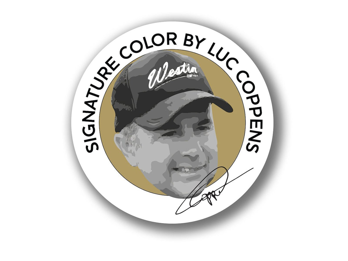 p295_gift-box_luc-coppens-favories_sticker.jpg