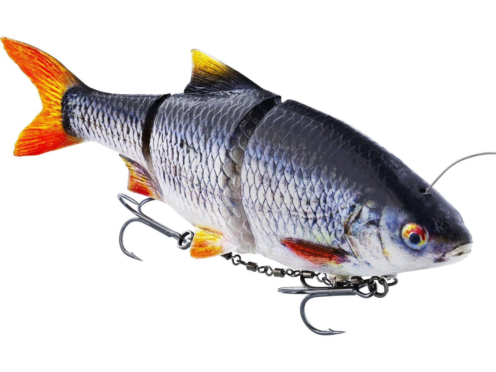p086_lifelike-roach-inline_headline_large.jpg