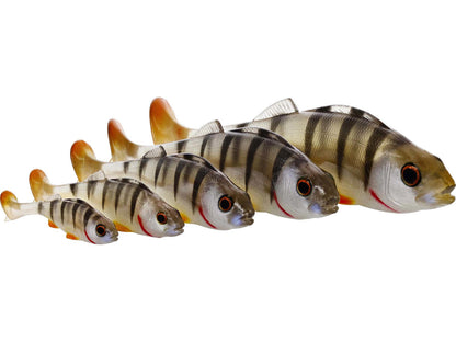 p092_original-perch-shadtail_headline_large.jpg