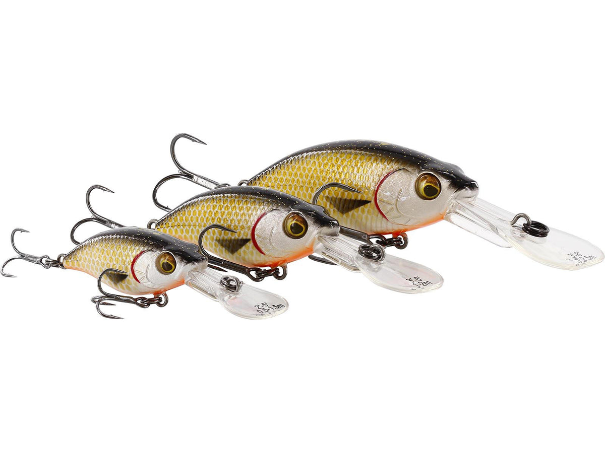 p145_buzzbite-crankbait_headline_large.jpg