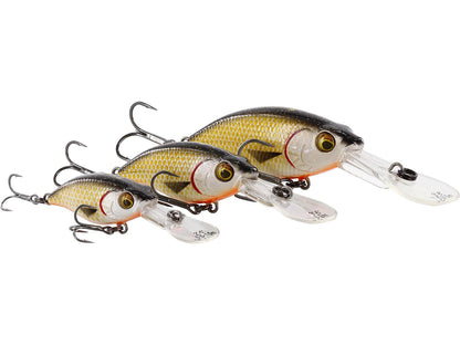 p145_buzzbite-crankbait_headline_large.jpg