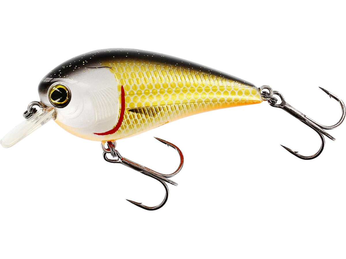 p154-155-005_large.jpg
