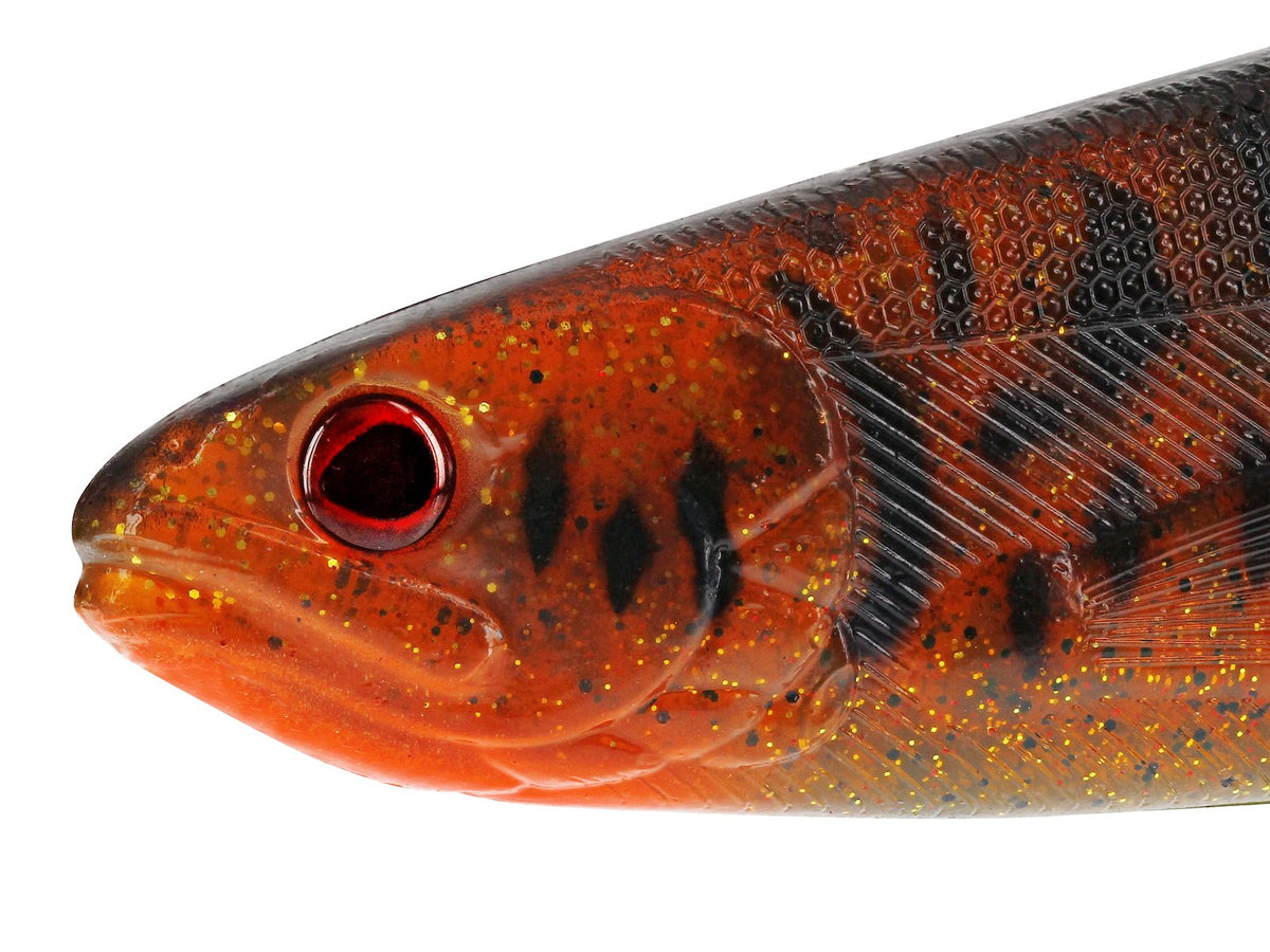 p165_x2_large.jpg