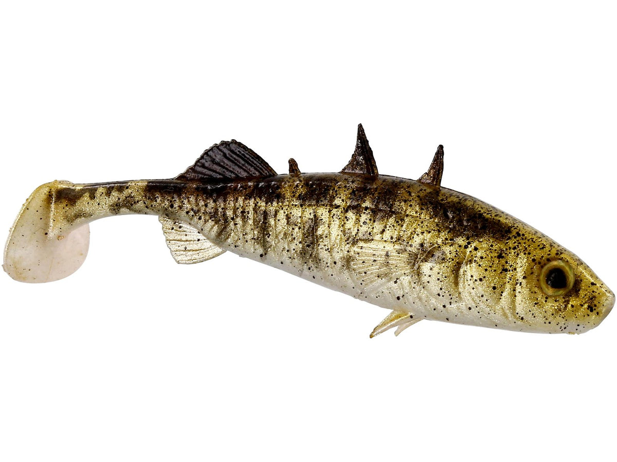 p228_stanley-the-stickelback_headline_large.jpg