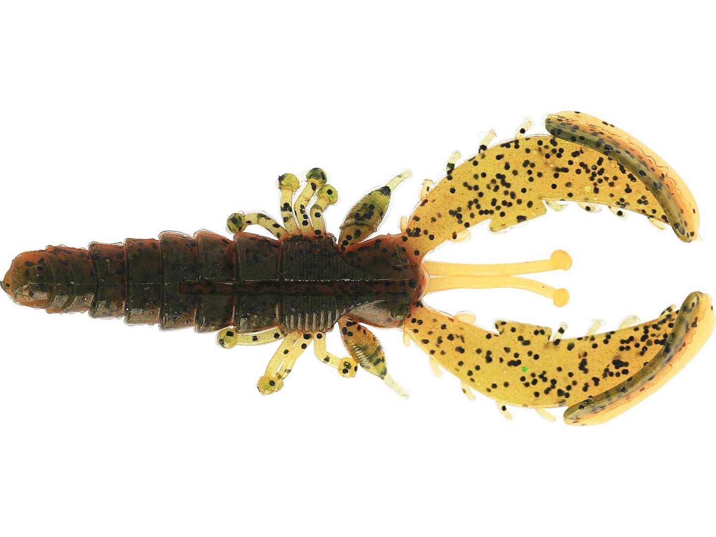 p238-562-239_large.jpg