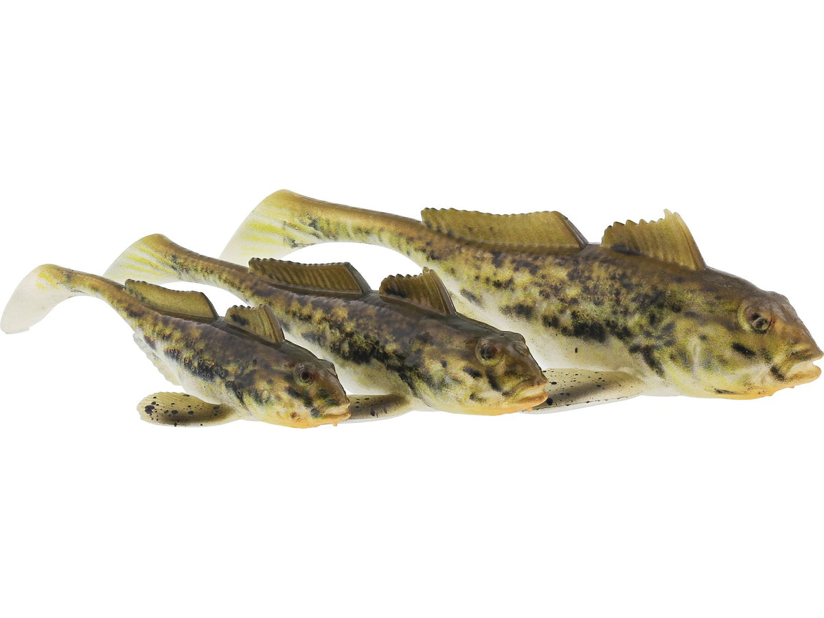 p243_gunnar-the-goby_headline_large.jpg