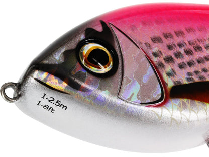 s120_f1_large.jpg